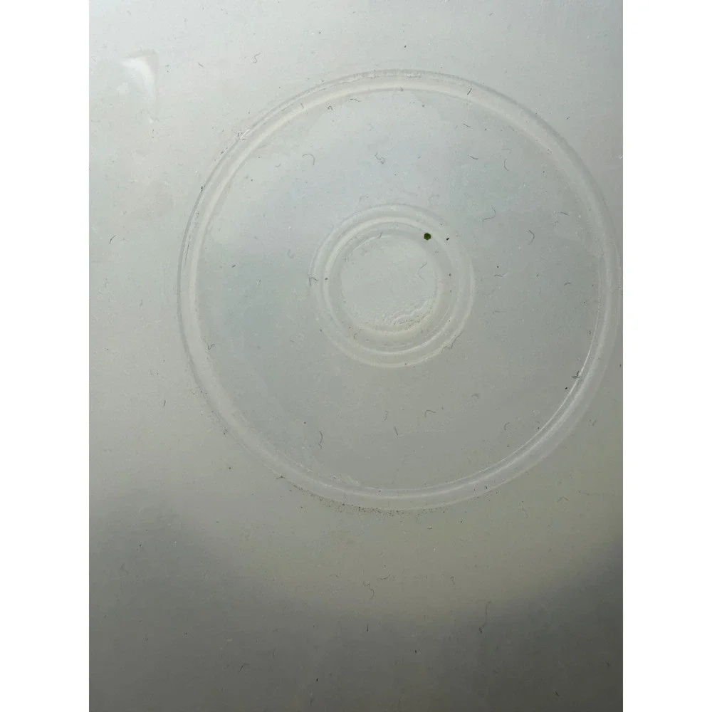 Vintage Tupperware Round divided  Sheer White‎ 12 Inch 1242 1243